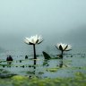 মোহাম্মদ ইব্রাহীম খলিল উল্যাহ 