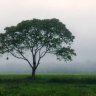 মোঃ আনোয়ার হোসেন 